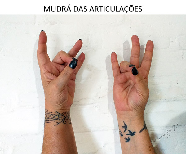 Mudra Articulação