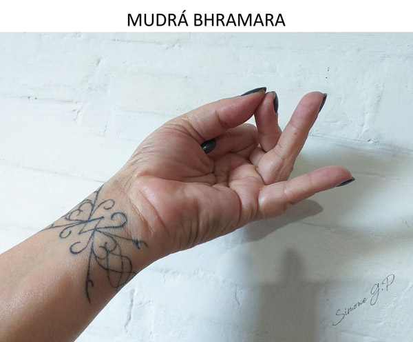 Mudra Bhramara