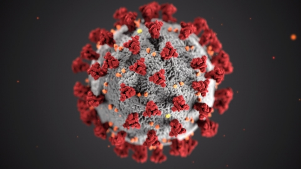 Pandemia - A Vida não é uma banalidade